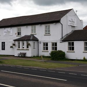 The White Swan